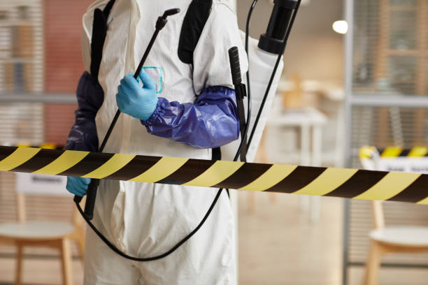 Professional Sewage Cleanup technician working in Berryville, VA